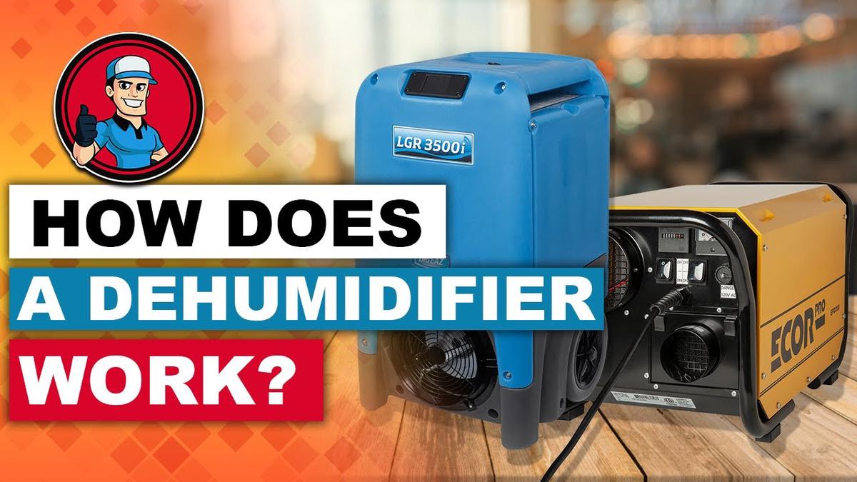 How Does A Dehumidifier Work 🌬️ (Beginner's Guide) HVAC Training 101