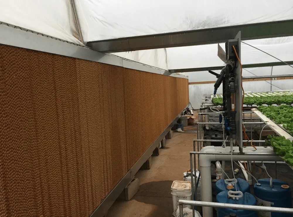 Best Swamp Cooler Pads The Best Options of 2022 Reviewed