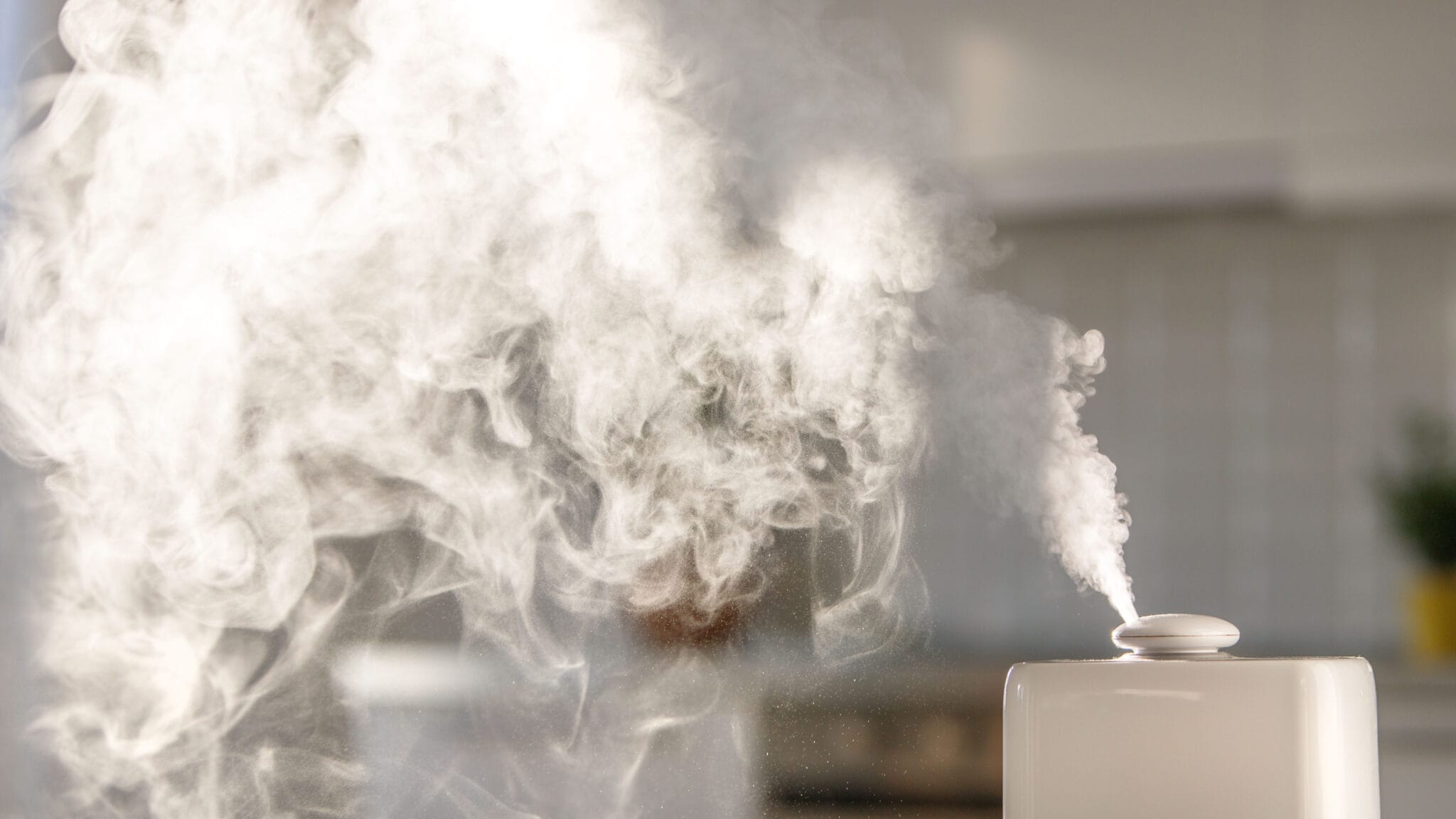 Humidifiers 101 – Complete Beginner’s Guide